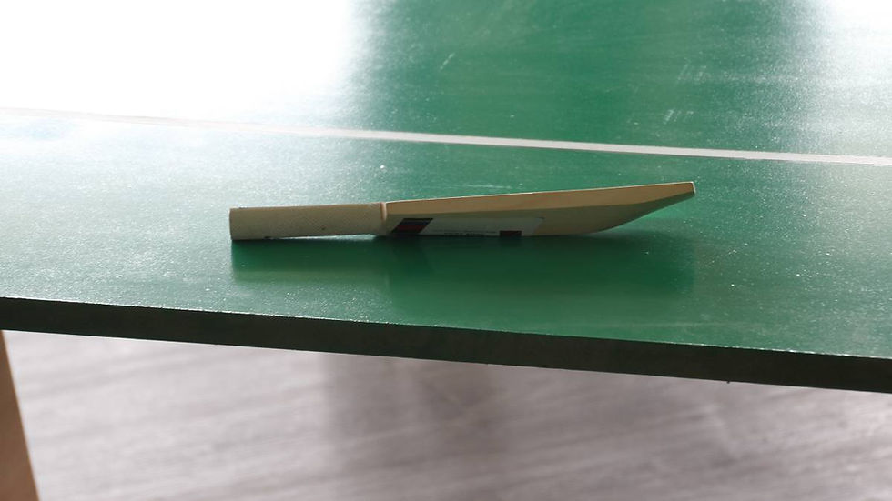 Table Cricket bat