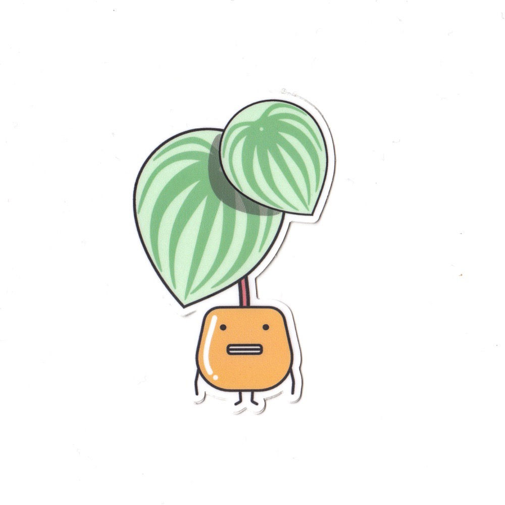 WATERMELON PEPEROMIA, VINYL STICKER