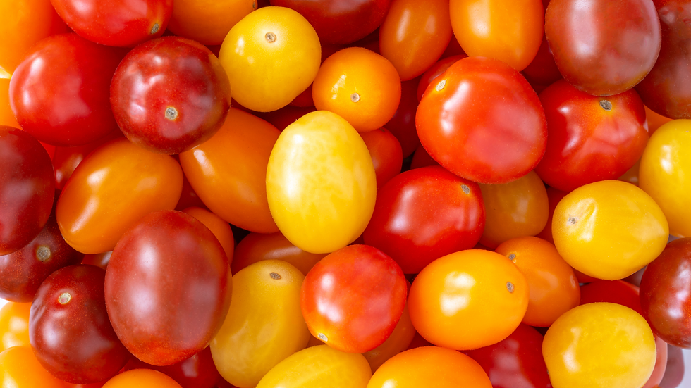 Medley Tomatoes_2.png