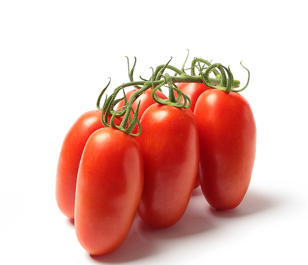 SanZano OTV_1.png