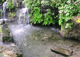 riviere-martinique.gif