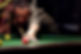 Pool Player