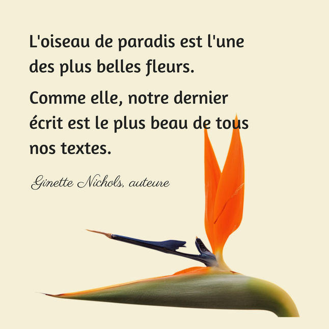 Réflexion d'auteur