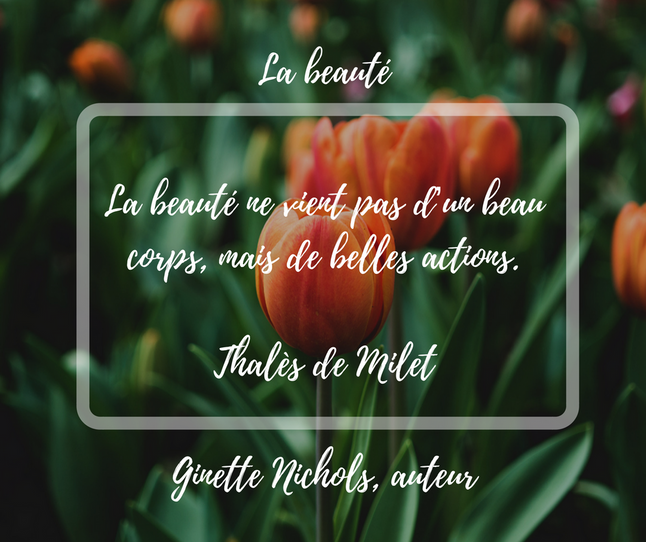 Reflexion d'auteur