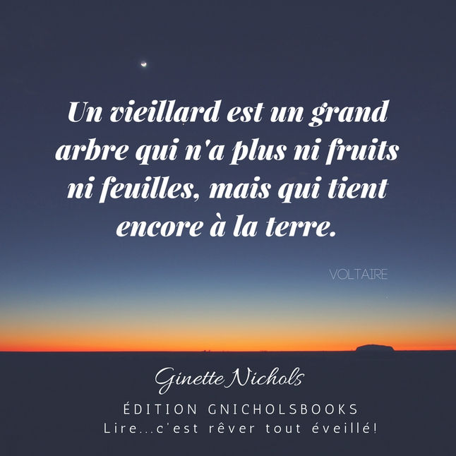 Reflexion d'auteur