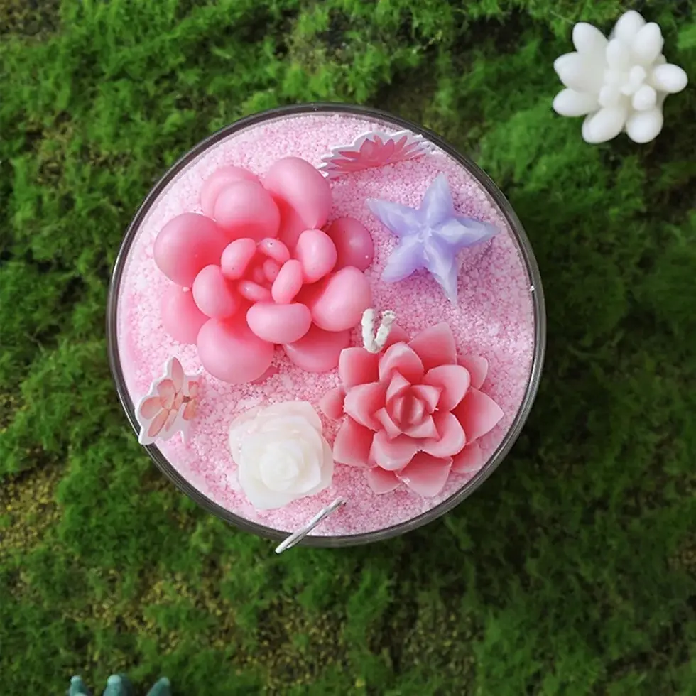 Thumbnail: Candle Kit–Succulents DIY Scented Candles