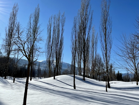 MAS DE CINCO CAMPOS DE GOLF CERCA DE NUESTROS PROYECTOS DE LES NIDS DE BAJANDE, LES NIDS D´OSSEJA