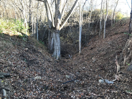 PRESENTADAS LAS OBRAS DE REHABILITACIÓN Y CONTROL DE LAS AGUAS PLUVIALES