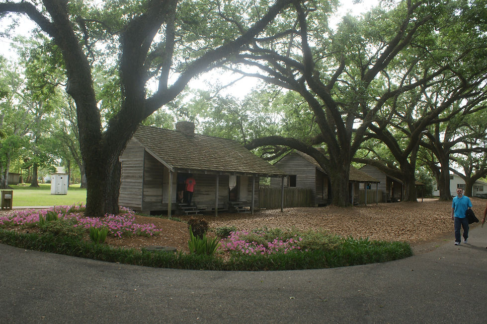 DSC02438
