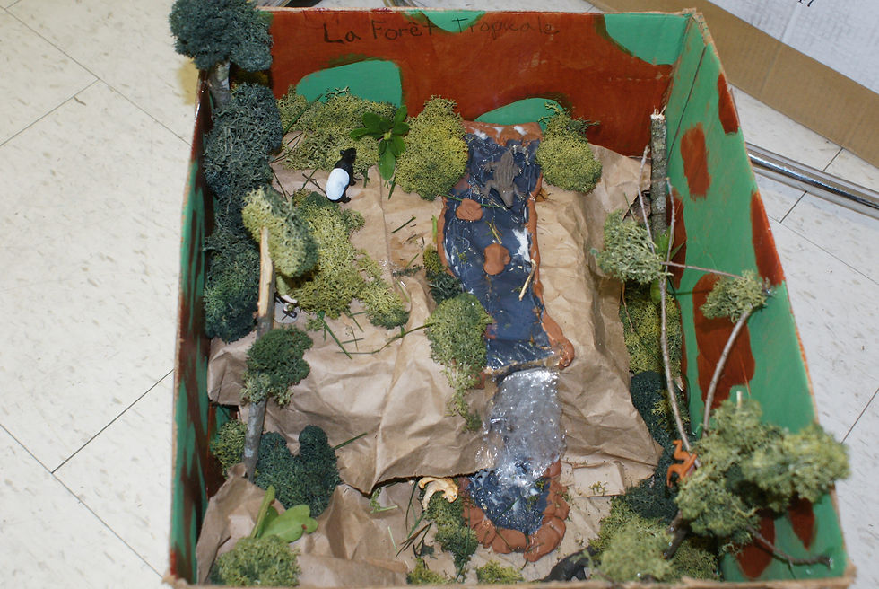 Biom in a box project.