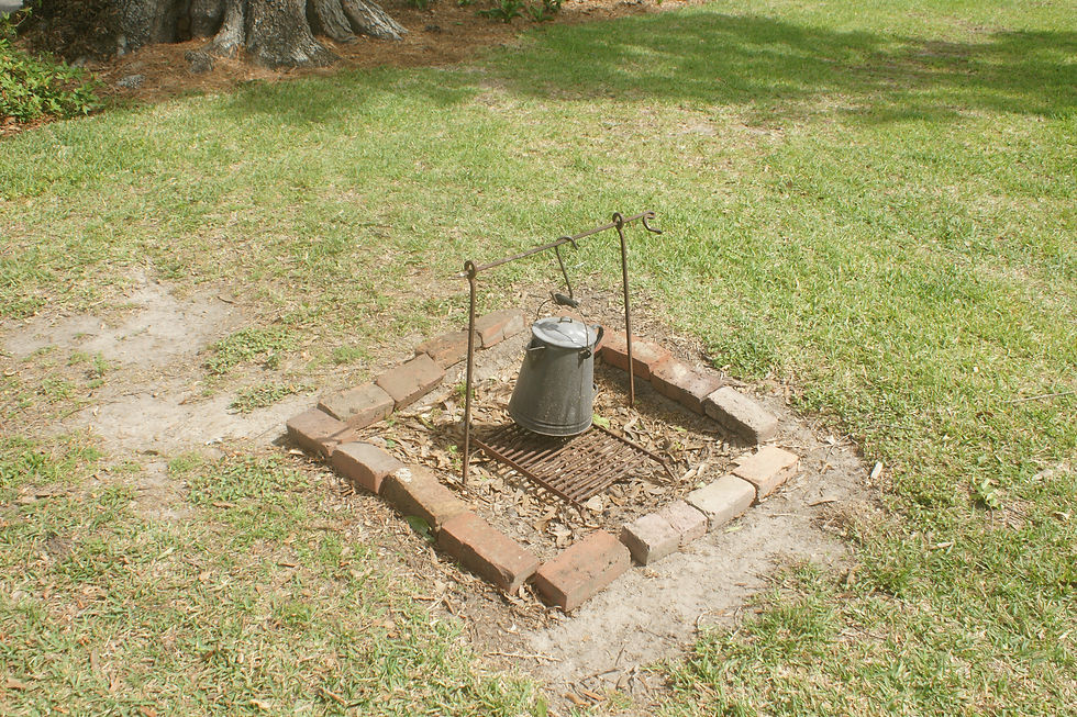 DSC02436