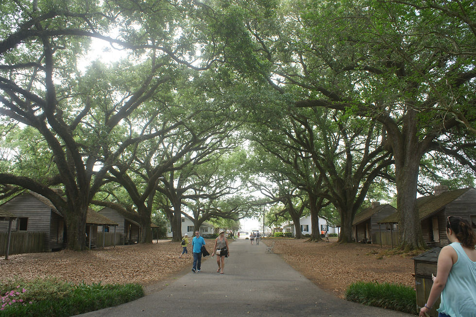 DSC02437