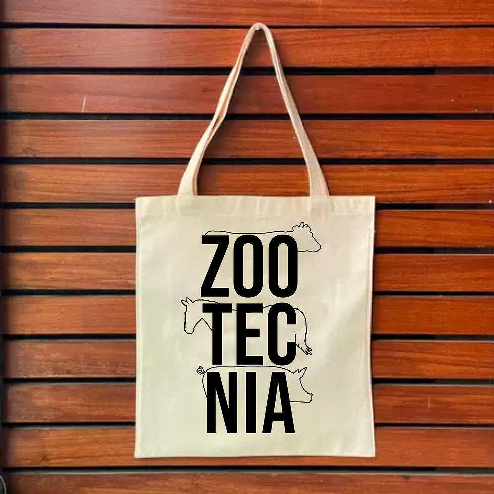 Miniatura: ECOBAG: Produção Animal