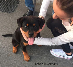 8a3c5b_c94676eab20242498ebc4ac5193c2db9~mv2