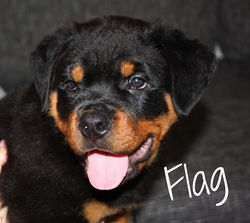 8a3c5b_17a477ad5c084fefbd6b3837e06c9943