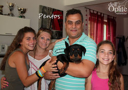 8a3c5b_6e97fa2d602e485ca660e4bc33cb5710~mv2_d_3564_2520_s_4_2