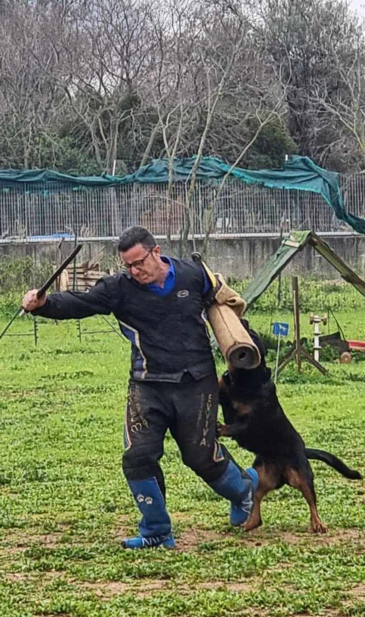 Emily vom Blukenaghen