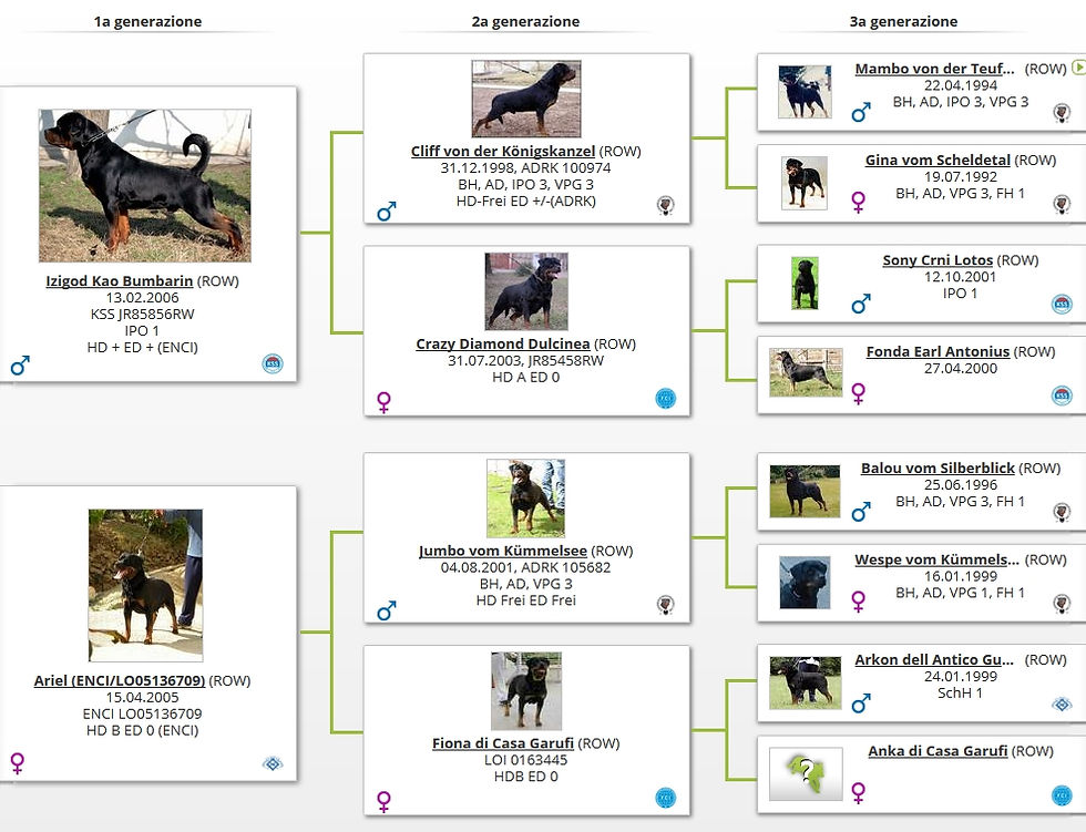 pedigree
