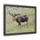 Thumbnail: Bull Moose - Trout Lake, Wyoming