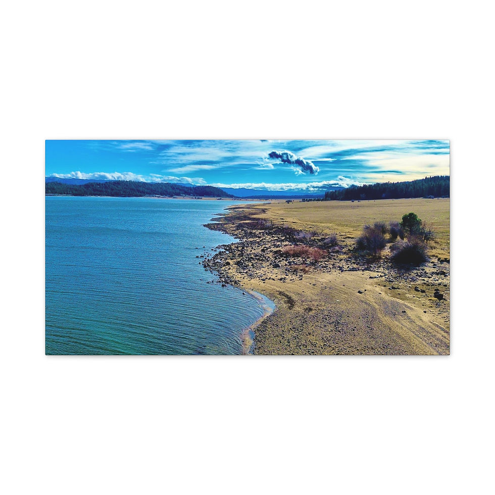 Thumbnail: Lake Cascade Shoreline - Cascade, Idaho