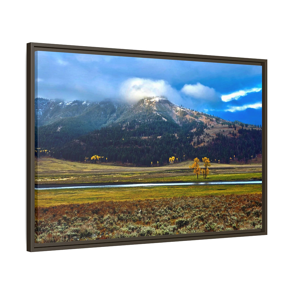Thumbnail: Lamar Valley in Autumn