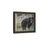 Thumbnail: Black Bear - Dunraven Pass