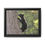 Thumbnail: Black Bear Cub - Slough Creek, Wyoming