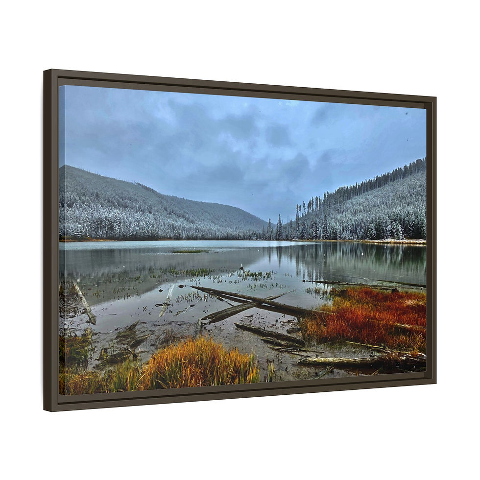 Thumbnail: Beaver Lake - Wyoming