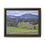 Thumbnail: American Bison in Lamar Valley - Wyoming