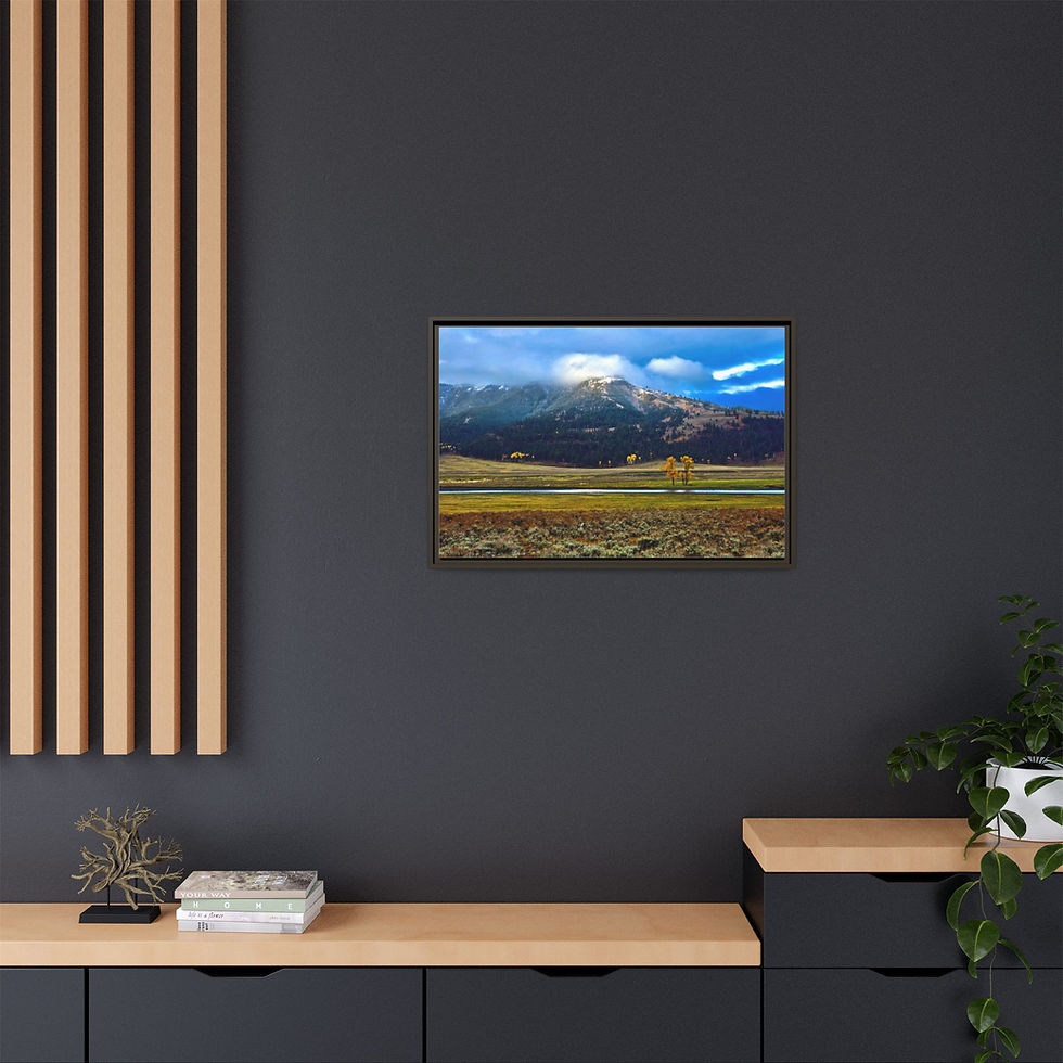 Thumbnail: Lamar Valley in Autumn