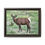 Thumbnail: Bull Elk Grazing - Boise National Forest 