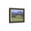 Thumbnail: American Bison in Lamar Valley - Wyoming