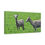 Thumbnail: Bighorn Sheep Grazing in Idaho