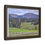 Thumbnail: American Bison in Lamar Valley - Wyoming