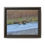 Thumbnail: Grizzly Bear crossing the Lamar River