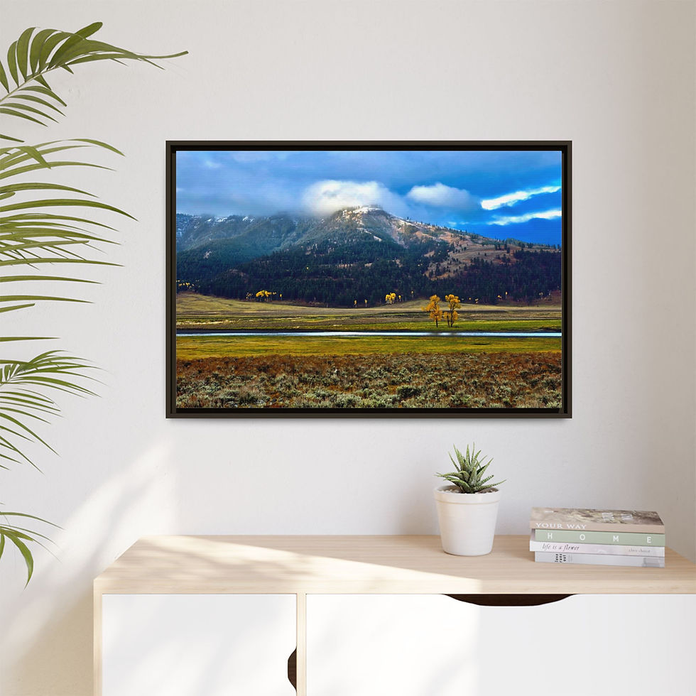 Thumbnail: Lamar Valley in Autumn
