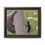 Thumbnail: Black Bear Tree Climb - Slough Creek, Wyoming