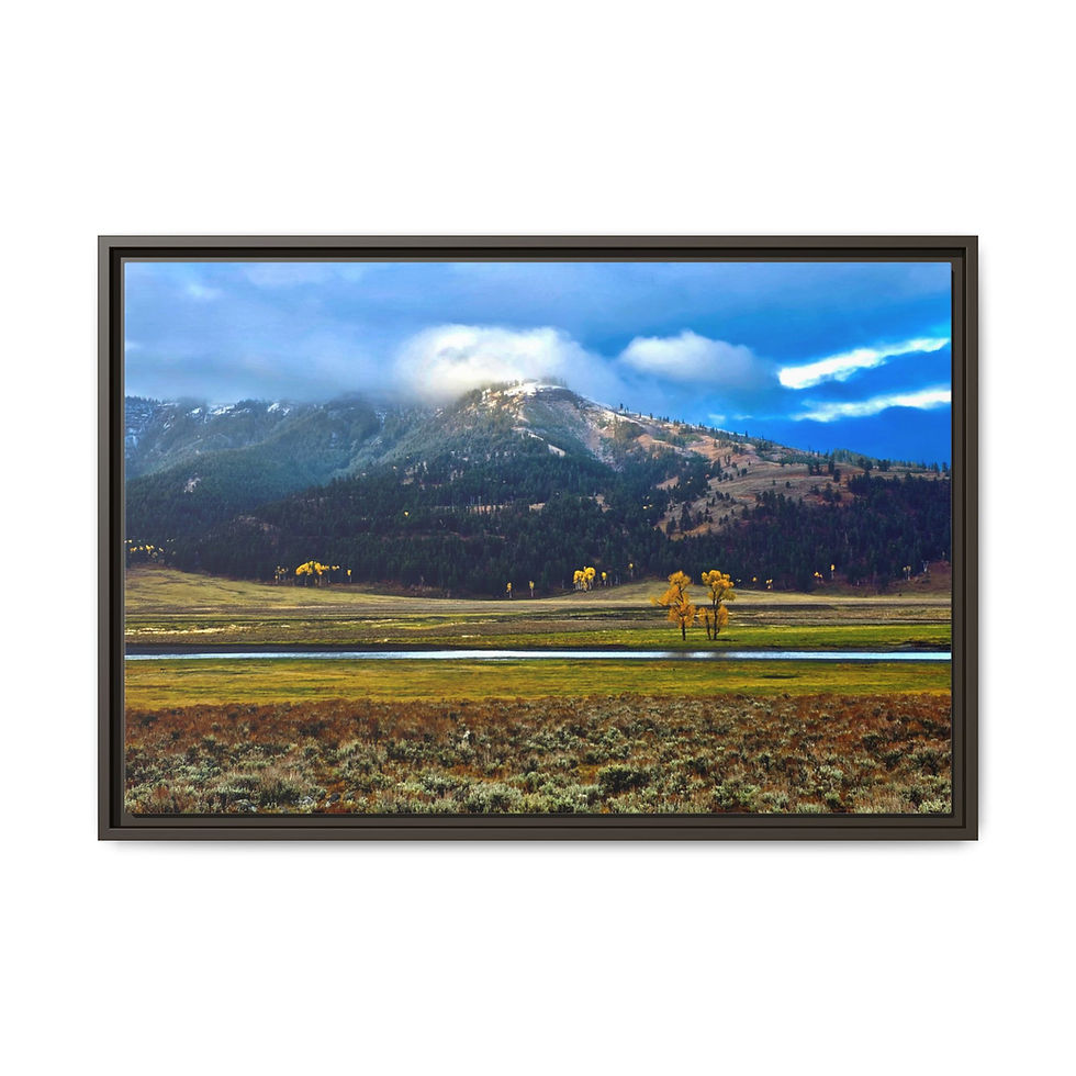 Thumbnail: Lamar Valley in Autumn