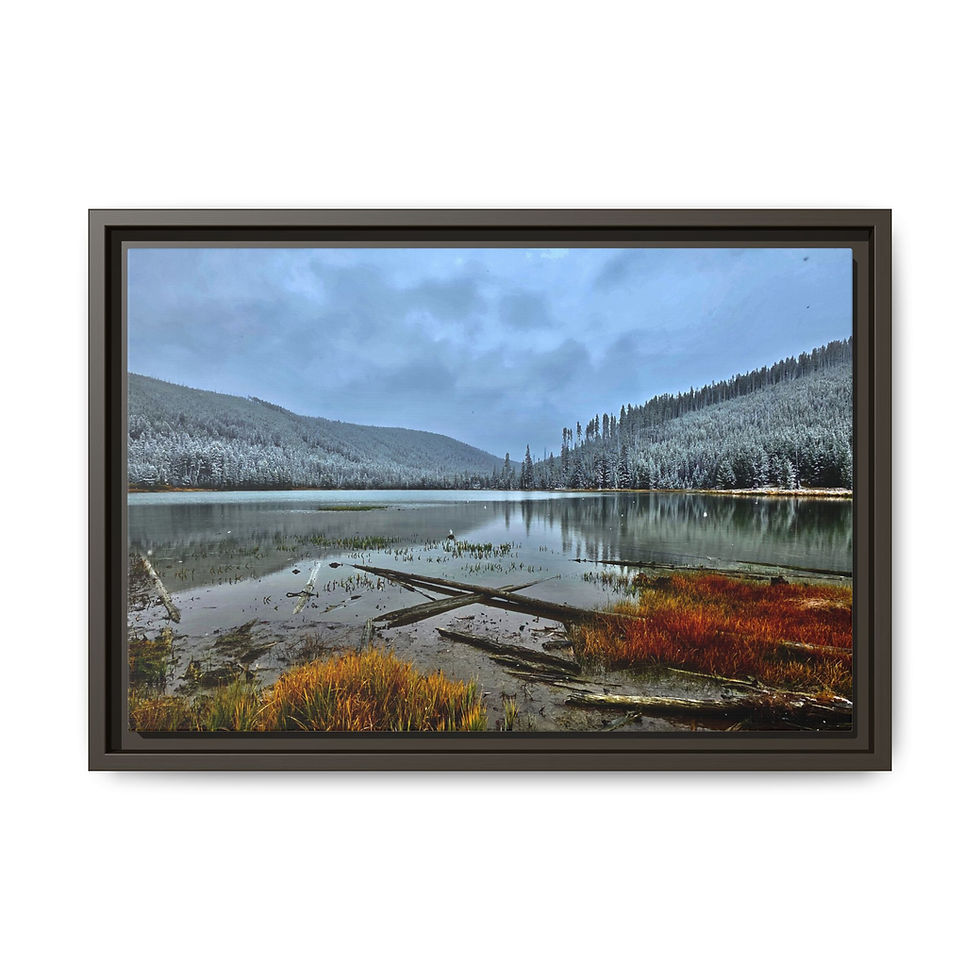 Thumbnail: Beaver Lake - Wyoming