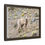 Thumbnail: Big Horn Sheep - Mammoth Springs 