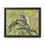 Thumbnail: Ground Squirrel