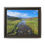Thumbnail: Trout Lake - Wyoming