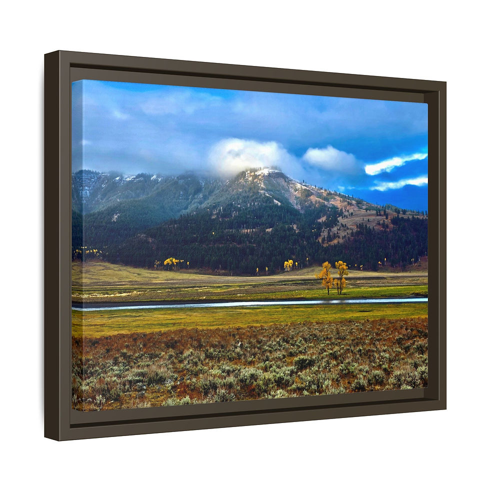 Thumbnail: Lamar Valley in Autumn