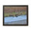 Thumbnail: Grizzly Bear crossing the Lamar River