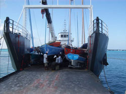 GEDC1881