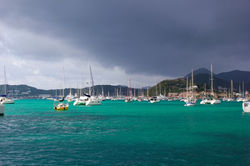 IMG_6593