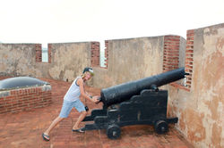 Cole and the Canon
