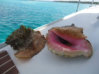 The Exumas... the Jewel Necklace of the Bahamas