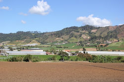 Constanza Valley, DR