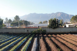 Constanza, DR